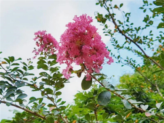 呼吸鮮氧，踐行公益——廣東博皓公益活動：星溪線公益環保活動   -5