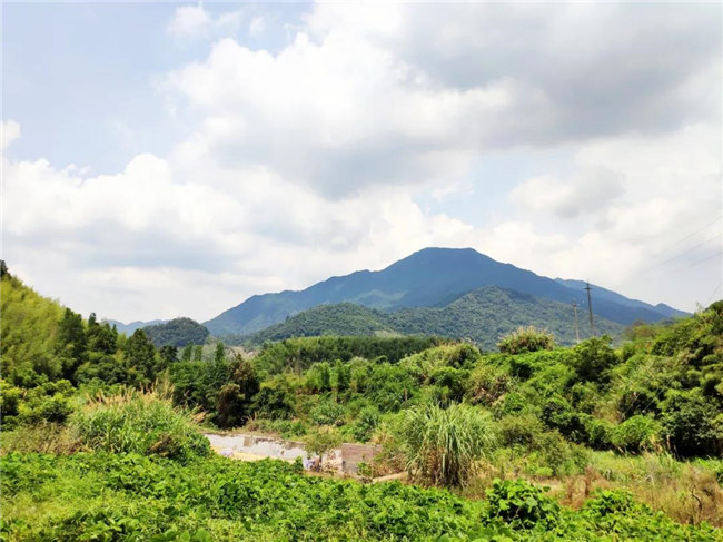 呼吸鮮氧，踐行公益——廣東博皓公益活動：星溪線公益環?；顒?  -6