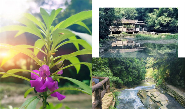 “湘”約鳳凰，相守未來——2022博皓快樂湖南行    -34