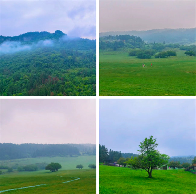 2023廣東博皓重慶游 -8