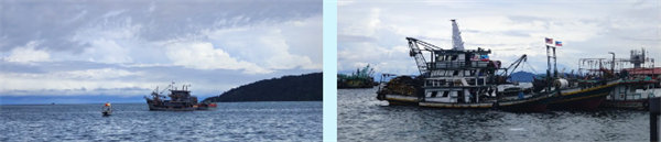 廿載風(fēng)云一路行，馬來風(fēng)情共見證——2024廣東博皓馬來西亞之旅   -7