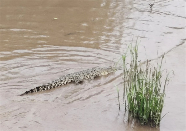 廿載風(fēng)云一路行，馬來風(fēng)情共見證——2024廣東博皓馬來西亞之旅   -15
