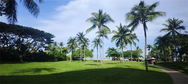 廿載風(fēng)云一路行，馬來風(fēng)情共見證——2024廣東博皓馬來西亞之旅   -25