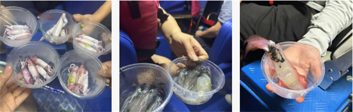 攜手博皓逐夢行，巽寮灣上展豪情—廣東博皓2025年巽寮灣之旅    -10